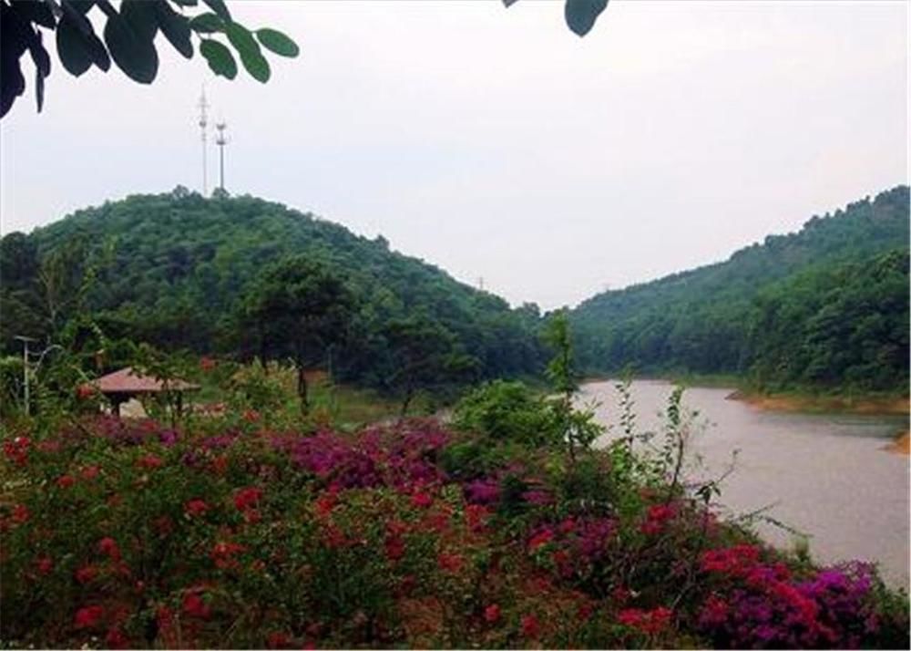 Phoenix Hotel Wuyi Дзянмън Екстериор снимка